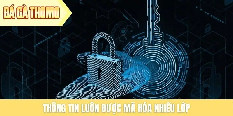 Thông tin luôn được mã hóa nhiều lớp