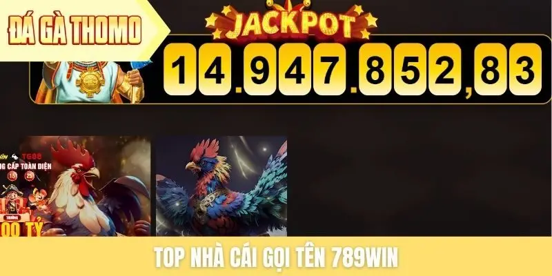 Top nhà cái gọi tên 789win