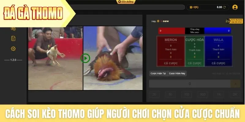 Cách soi kèo Thomo giúp người chơi chọn cửa cược chuẩn