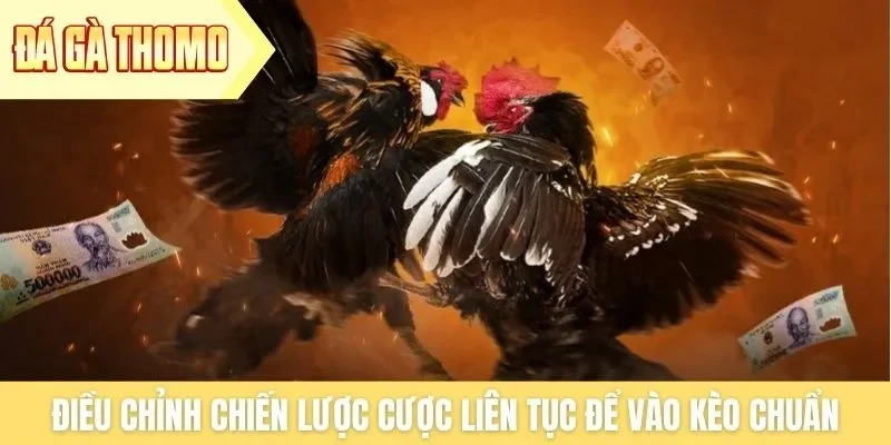 Điều chỉnh chiến lược cược liên tục để vào kèo chuẩn