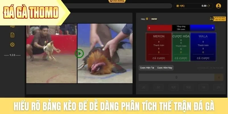 Hiểu rõ bảng kèo để dễ dàng phân tích thế trận đá gà