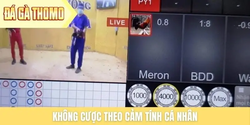 Không cược theo cảm tính cá nhân