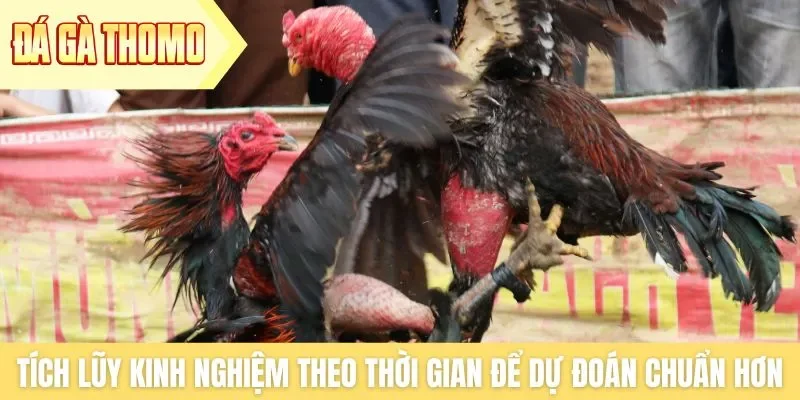 Tích lũy kinh nghiệm theo thời gian để dự đoán chuẩn hơn
