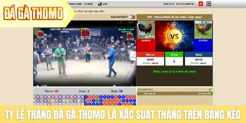 Tỷ lệ thắng đá gà Thomo là xác suất chiến thắng trên bảng kèo